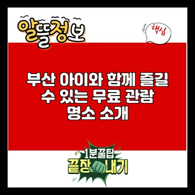 부산 아이와 함께 즐길 수 있는 무료 관람 명소 소개