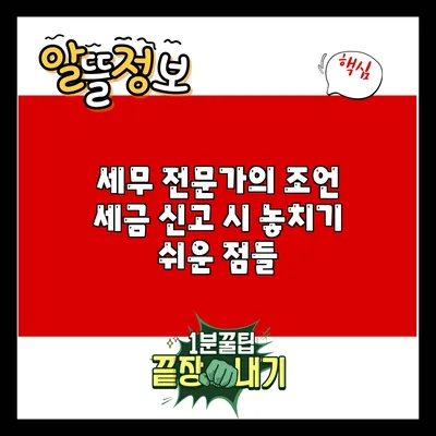 세무 전문가의 조언: 세금 신고 시 놓치기 쉬운 점들