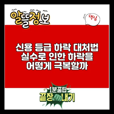 신용 등급 하락 대처법: 실수로 인한 하락을 어떻게 극복할까?