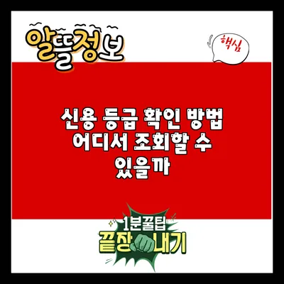 신용 등급 확인 방법: 어디서 조회할 수 있을까?