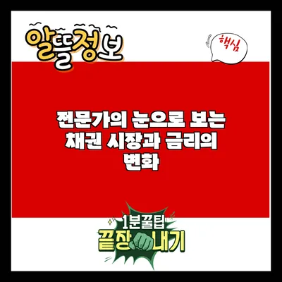 전문가의 눈으로 보는 채권 시장과 금리의 변화