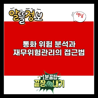 통화 위험 분석과 재무위험관리의 접근법