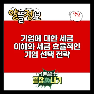 기업에 대한 세금 이해와 세금 효율적인 기업 선택 전략