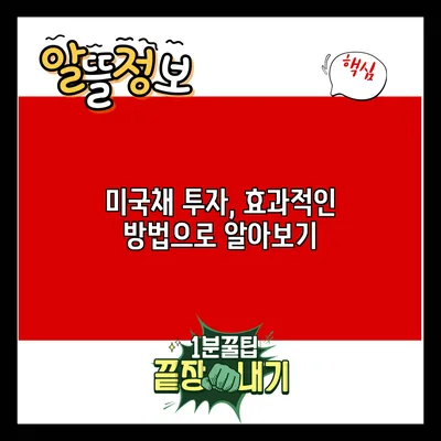 미국채 투자, 효과적인 방법으로 알아보기