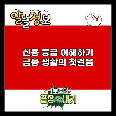 신용 등급 이해하기: 금융 생활의 첫걸음