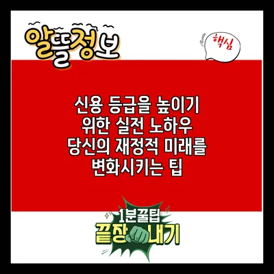 신용 등급을 높이기 위한 실전 노하우: 당신의 재정적 미래를 변화시키는 팁