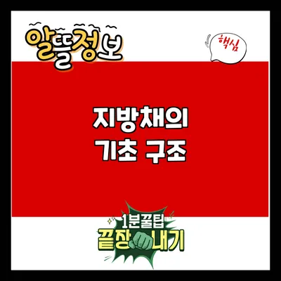 지방채의 기초: 구조